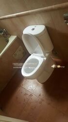Kentish Lodge (D8), Apartment #511011341